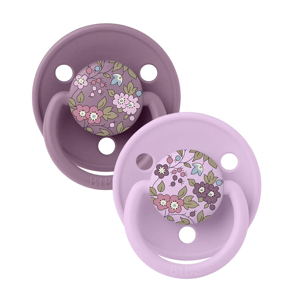 Bibs Delux 2 Pack Pacifiers - Camomile lawn mauve mix