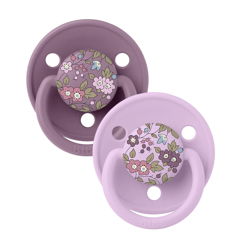 Bibs Delux 2 Pack Pacifiers - Camomile lawn mauve mix