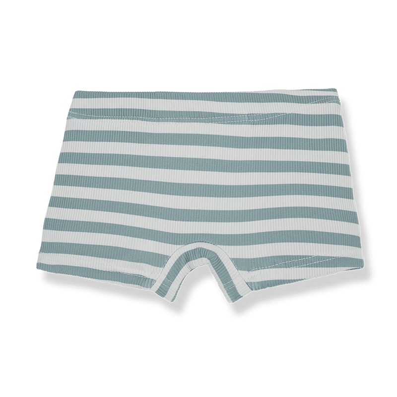 1+ in the Family Alessandro Bathing Suit Boxer