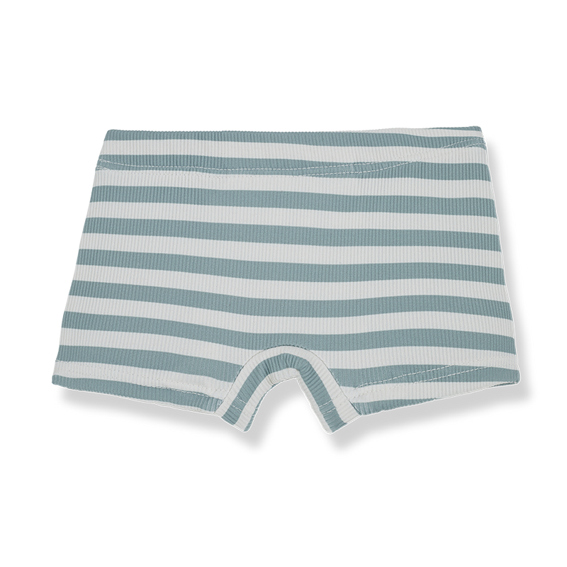 1+ in the Family Alessandro Bathing Suit Boxer