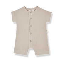 1+ in the Family Federico Romper