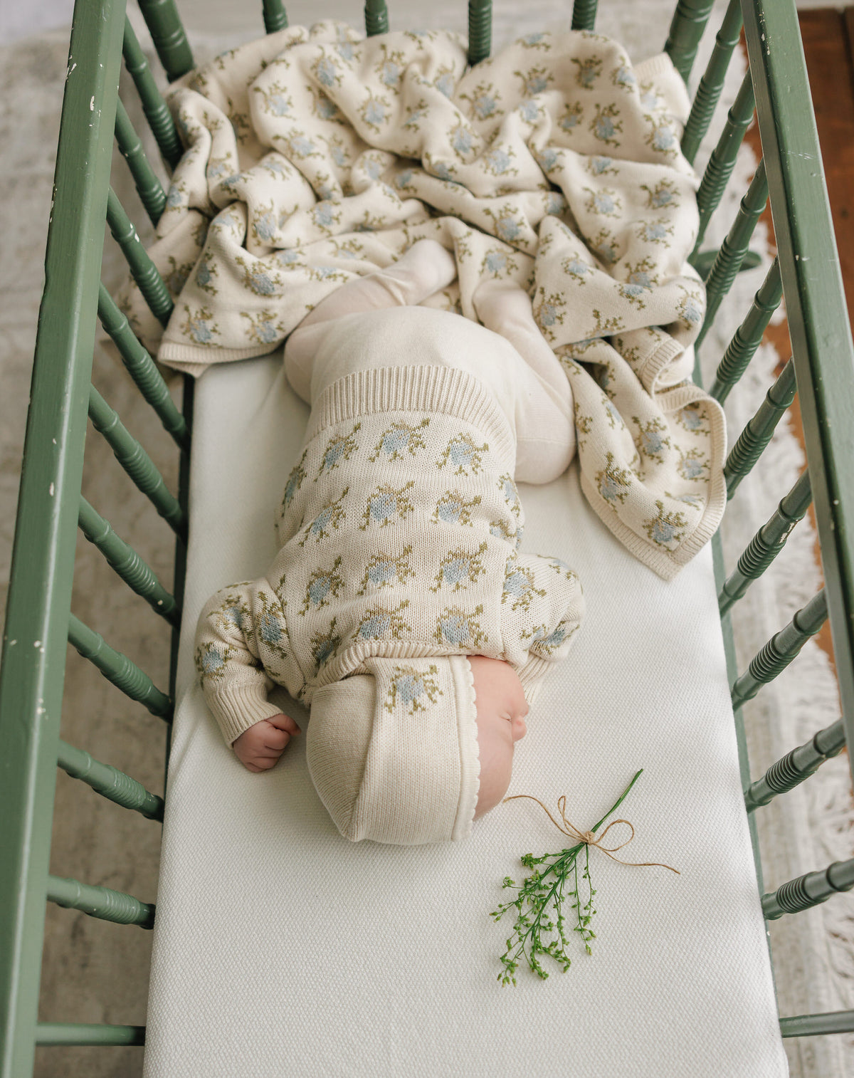 Peluche Floral Intarsia Knit Blanket - Powder