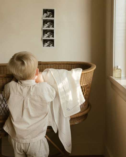 Ferne Embroidered Swaddle - Rocking Horse