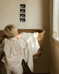 Ferne Embroidered Swaddle - Rocking Horse